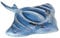 Intex Stingray Ride-On - Aufblasbarer Reittier - 188 x 145 cm
