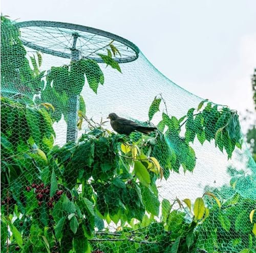 Vrgadonor Vogelschutznetz für den Außenbereich, Nylon, 6 Stränge, Netzgröße: 1,8 x 6 m, Maschenweite: 0,5 x 0,5 cm