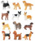 Osuter Figuras de Animales Realistas - Decoración y Juguetes Estatuilla para Niños y Amantes de los Animales - Decoración del Casa (Cachorros)