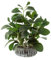 Bafenli Plantas Artificiales Peperomia Plantas Falsas con Cemento Maceta para Habitación Casa Baño Dormitorio Cocina Oficina Mesa Interior Exterior Decoración