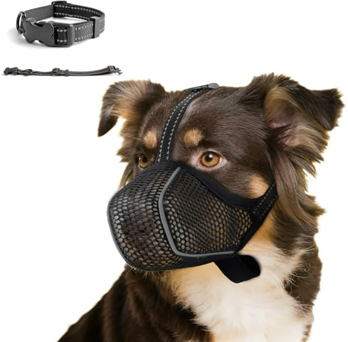 Maulkorb für große Hunde,Fressschutz Hund, Verstellbarer Atmungsaktiver Maulkorb für Haustiere,Anti-Kau-Mundschutz für Hunde,Passendes Hundehalsband (XL)