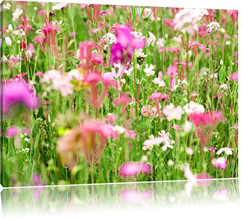 Pixxprint Wundervolle Blumenwiese, Größe: 120x80cm, Leinwandbild, fertig gespannt, Wandbild, Dekoration, Kunstdruck, kein Poster