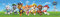AG Design Paw Patrol Rescue Decorative Wall Border for Kids Bedroom, 5m x 14cm, WBD 8161, Multi-Colour, 0.1m x 5m