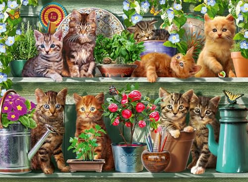 Ravensburger Cats on the Shelf 500 Pieces Jigsaw Puzzle for Kids Age 10+
