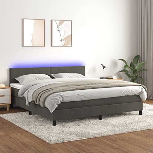 Festnight Bettgestell Samt Boxspringbett 160x200 mit Matratze LED Polsterbett Doppelbett Bettrahmen Bett Boxspringbetten mit Kopfteil mit Lattenroste Dunkelgrau