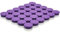 ZDZBLX Fridge Magnets, 30 Pack Strong Small Whiteboard Magnets, Heavy Duty Mini Round Magnets for Adults, Crafts, Notice Board (Purple)