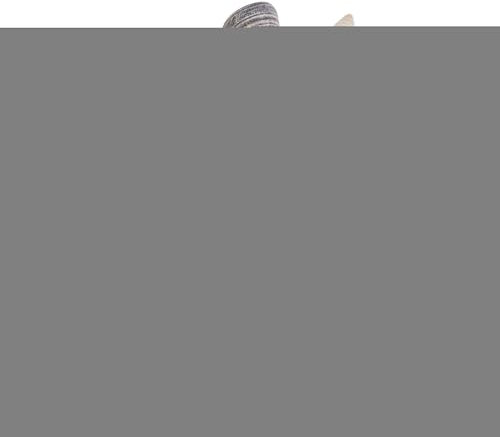 Eurosand Muschel Telescopium, 250g, Deko, maritime Dekoration, Muschelschale