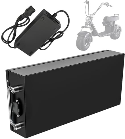 SSCYHT Batterie Li-ION 48 V 20 Ah 15 Ah Batterie de Remplacement 60 V 10 Ah 28 Ah 17,5 Ah Batteries Lithium pour pneus Larges avec Chargeur et poignée pour Moteur 250 W à 1700 W,48v17.5ah