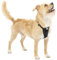 Kurgo Enhanced Strength Tru-Fit Dog Car Harness, Crash Tested, Steel Nesting Buckles, Includes Seatbelt Tether, Small-Black