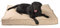 JAMAXX Premium Hundekissen in edler Leinen-Optik/Orthopädisch Memory Visco Schaumstoff/Waschbar Abnehmbarer Bezug/Wasserabweisender Innenbezug - Hundebett PDB1005 (L) 120x90 Coffee-beige