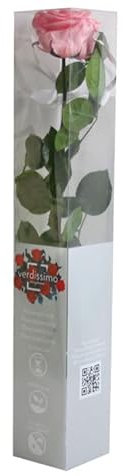 Générique VERDISSIMO Rose éternelle stabilisée Premium Tige 55cm Diamètre 6,5 à 8,5cm (Rose Pastel)