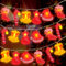 Shinybox Weihnachten LED Lichterketten, 3M 20 LED Lichterketten für Weihnachtsdekoration, Weihnachtsthema, Wasserdichte Lichterketten Batteriebetrieben, Warmweiß Weihnachtsbeleuchtung für Party(C)