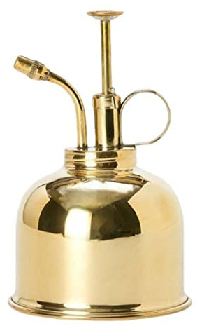 Végétal vaporisateur de pulvérisation en laiton Plante Spritzer pulvérisateur Petit arrosage peut pour la fleur 300 ml de plante dorée monsieur, flotte de pulvérisation à eau, vaporisateur de plante