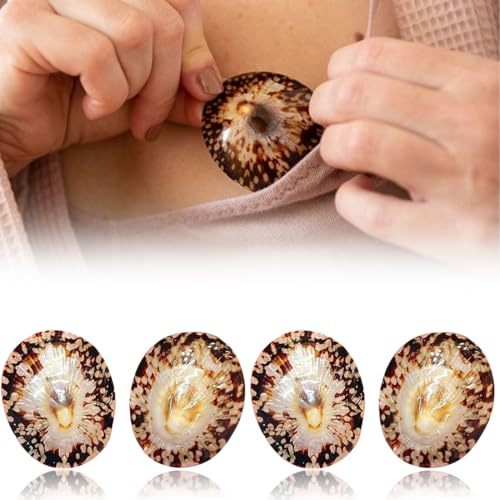 PYEUIFT 4 Pièces Coquillages D'Allaitement Naturels, Mamelon-Protector Gegen Crevasses, Écologique Stilllösung, Coussinet D'Allaitement, Bout De Sein, Reizungen Vorbeugen Pour Mamans Allaitantes