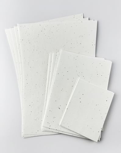 Kamille Gänseblümchen-Papier, 150 g/m², A5, 148,5 x 210 mm, lose Blätter aus pflanzlichem Papier für Karten, Broschüren, Speisekarten, Einladungen (25)