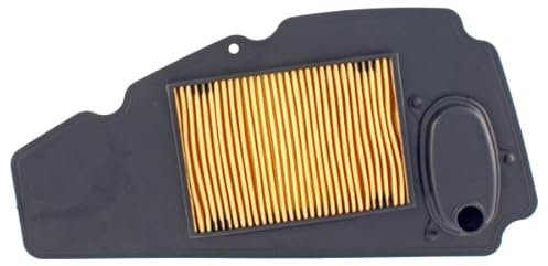 RIDE AND CUSTOM Filtro Area Compatibile con Honda Nss 250 Ex Forza Abs 250 2005-2013