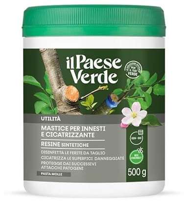 Il Paese Verde Mastic pour greffes et cicatrisant 500g