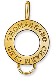 Thomas Sabo Damen-Bandring mit Ringgröße 50 (15.9) X0184-413-12
