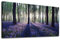 yearainn Leinwand-Wandkunst, Wald mit lila Lavendel, große grüne Bäume, Landschaft, Bilddrucke, moderne Leinwandkunst, Kunstwerk für Zuhause, Büro, Wanddekoration, 50,8 x 101,6 cm