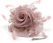 Fascinator Hut 20er Jahre Pillbox Hut Cocktail Tea Party Top Hat Derby Kentucky Hochzeit Kopfbedeckung für Mädchen und Frauen, C-Blush, Medium