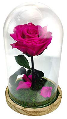 Mundo Eterno | Garden Center Shop | Rosa Preservada Fucsia en Cúpula de Cristal 22x12 cm | Rosa Eterna Natural | Decoración y Regalo Estilo Bella y Bestia