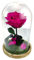 Mundo Eterno | Garden Center Shop | Rosa Preservada Fucsia en Cúpula de Cristal 22x12 cm | Rosa Eterna Natural | Decoración y Regalo Estilo Bella y Bestia