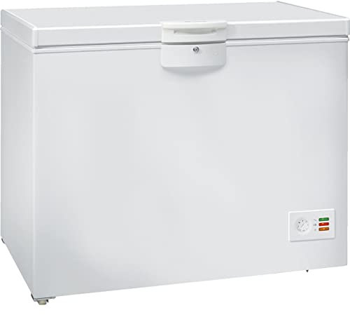 Autonome, Congélateur horizontal 230 Litres Classe A++, porte Haut, Blanc