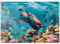 MyPuzzle Unterwasserwelt mit Schildkröte und Korallen - Premium 1000 Teile Puzzle - MyPuzzle Sonderkollektion von Puzzle Galaxy