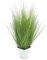 Spetebo Künstliches Isolepsis Gras grün - 80 cm - Kunstpflanze mit weißem Blumentopf - Kunst Topfpflanze Zimmerpflanze Dekorpflanze Kunstblumen Pflanze künstlich