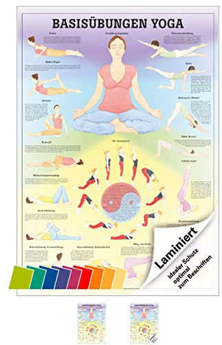 Ruediger Anatomie MIPO76LAM Basisübungen Yoga Tafel, 24 cm x 34 cm, laminiert