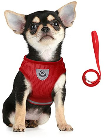 FEimaX Soft Mesh Dog Harness and Leash Set No Pull Reflective Adjustable Pet Step-in Car Harnesses Escape Proof Cat Walking Vest for Small Medium Dogs Cats