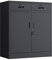 JINGUR Metal Storage Cupboard with Locking Doors and 2 Drawers, Lockable Storage Cabinet with Adjustable Shelf for Home Office and Garage (Black)