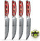 WILDMOK Coltelli da Bistecca, Set di 4 Coltelli da Bistecca Non Seghettati da 13 cm, Coltelli da Bistecca in Acciaio Damasco Giapponese VG10, Coltelli da Bistecca Premium con Confezione Regalo