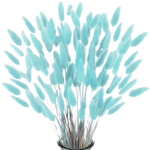 Queue de Lapin Fleur Sechee,Fleurs Séchées Naturelles Herbe de Pampa 60 Bouquet de Fleurs Séchées Roseau de Pampa Herbe pour Chambre à Coucher Intérieur la Décoration de la Maison de Mariage,Bleu
