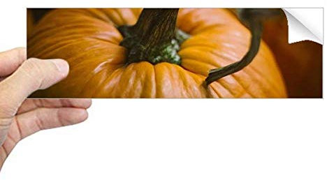 DIYthinker Frischer Kürbis Bild Natur Foto Rechteck Bumper Aufkleber Notebook Fenster Aufkleber