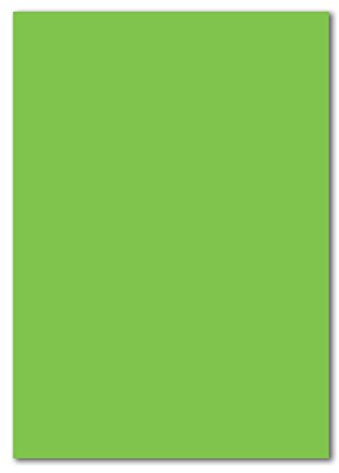 25 DIN A4 Papier-bögen Planobogen - Hellgrün (Grün) - 240 g/m² - 21 x 29,7 cm - Bastelbogen Ton-Papier Fotokarton Bastel-Papier Ton-Karton - FarbenFroh
