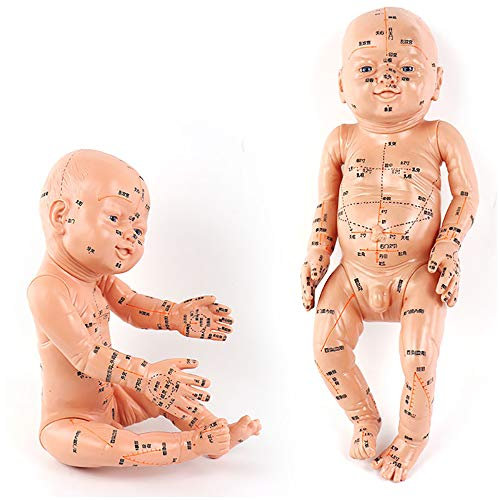 FHUILI Akupunktur Modell - Pädiatrische Massage Puppe Modell - Human Akupunktur Baby-Modell - Chinesische Medizin Universal-Akupunkt-Massage Kinder Simulation Model,A