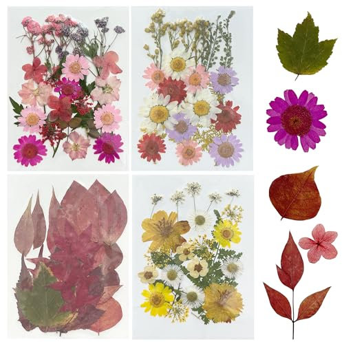 Woohome 91 Stück Natürlich Getrocknete Blumen Gepresste Blumen zum Basteln Blüten Getrocknet Trockenpressen-Blumen-Set für die Herstellung von DIY-Schmuck, Nagelkarten und Dekorationen