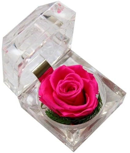 Romantica rosa artificiale in scatola di acrilico, realistica, portatile, finta rosa decorativa singola per presentazioni alla moda
