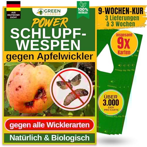 GREEN GUARDIA Schlupfwespen gegen Apfelwickler - 3 Karten à 3 Lieferungen - Effektive Bio-Bekämpfung gegen Apfelwickler, Alternative zu Apfelwicklerfalle, Spritzmitteln, Nematoden & Pheromonfallen