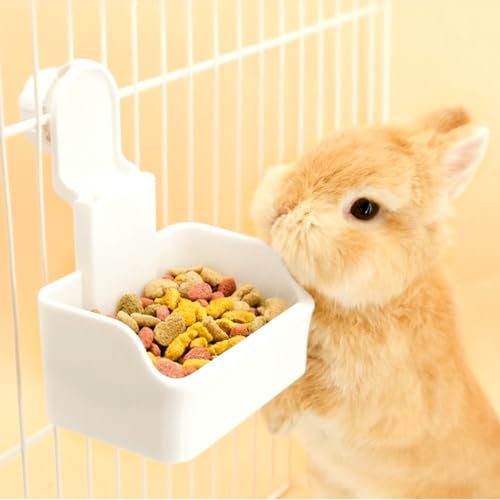 Bol pour Lapin, Bol à Eau pour Cage, Bol Alimentation et Eau 2-en-1 pour Chiot, Chat, Lapin, Cochon d'Inde, Furet et Autres Petits Animaux (Blanc)