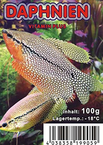 Daphnia (Wasserflöhe) 10x100g = 1kg = 1Pack