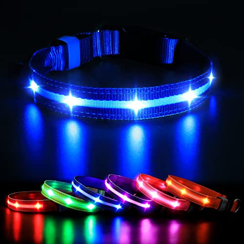 MASBRILL Luminous Dog Collar, LED Rechargeable and Waterproof Dog Collar, 3 Glowing Modes and Adjustable Size Suitable for Small Large Dogs (Blue, M)