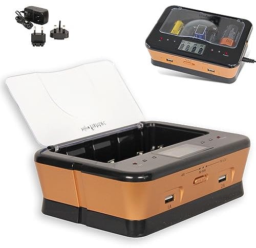 FISHTEC Chargeur Universel de Piles C/D/AA/AAA/6LR61 NiCd NiMh + ALCALINES (Or)