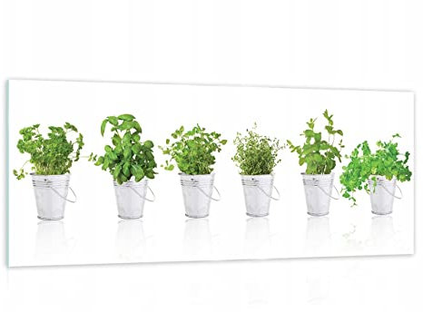 WallArena Glasbilder Küche 125x50 cm Kräuter Gewürze Modern Glasbild Wohnzimmer Schlafzimmer Bilder auf Glas einteilig Deco Glass Querformat Wandbilder Aufhängfertig