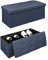 Pouf Contenitore Cassapanca Con Scarpiera Interna Salvaspazio Portaoggetti Porta Scarpe Panca Sgabello A Pie Di Letto Rettangolare Poggiapiedi Panchina - Blujeans5 - Rettangolare