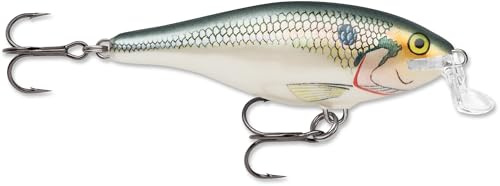 Rapala, Shad Rap Elite Angelköder, schwimmender Süßwasserköder, Schwimmtiefe: 2,4–2,7 m, Angelgerät aus Balsaholz