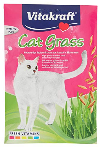 Vitakraft Semence Herbe à Chat