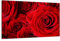Visario 5058 Tableau de Roses sur Toile de Lin Rouge 120 x 80 cm