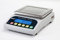 G&G PLC3000B 3000g/0,01g Präzisionswaage Feinwaage Industriewaage Tischwaage Goldwaage/Batteriebetrieb möglich Scale